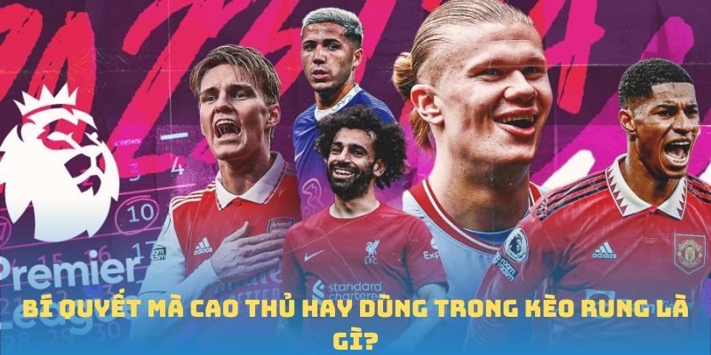 Bí quyết cược kèo rung là gì
