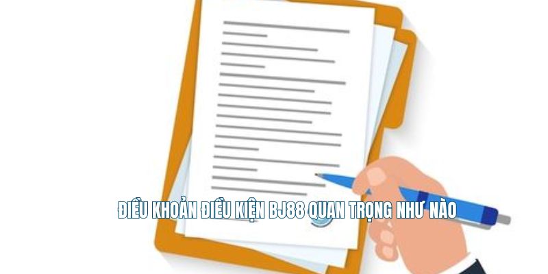 Vai trò điều khoản điều kiện BJ88