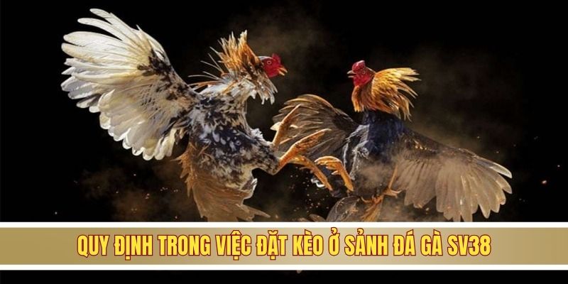 Quy định đặt kèo sảnh đá gà SV388 