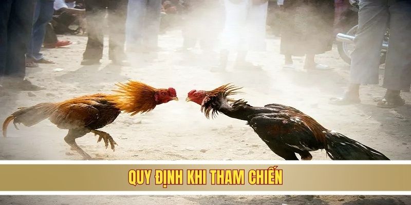 Quy định tham gia sảnh đá gà SV388
