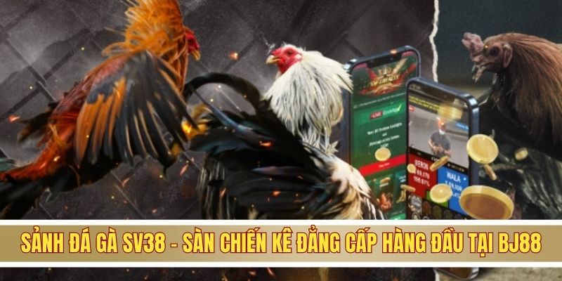 Sảnh đá gà SV388 BJ88